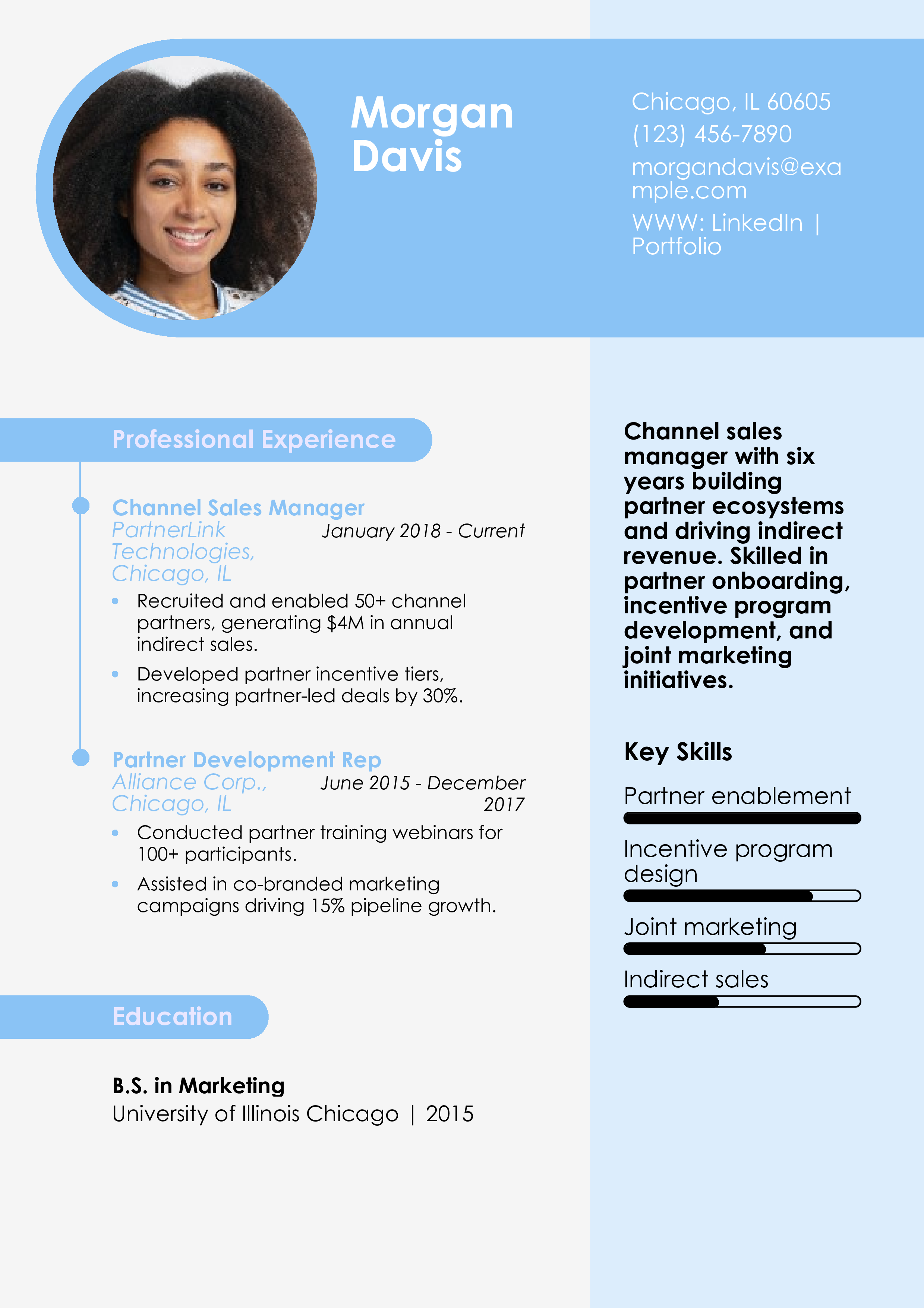 Channel Sales Manager Resume
