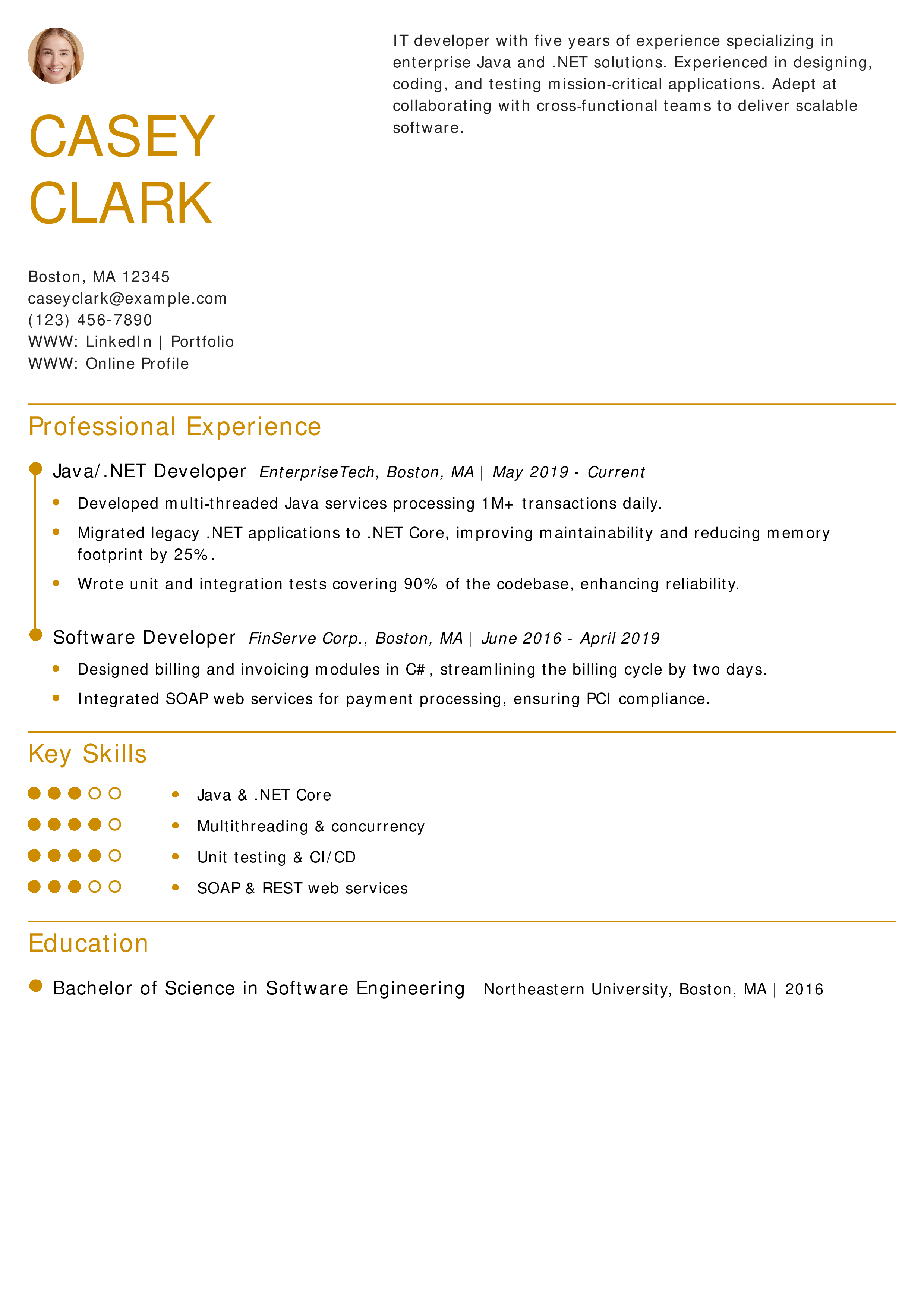 IT Developer Resume
