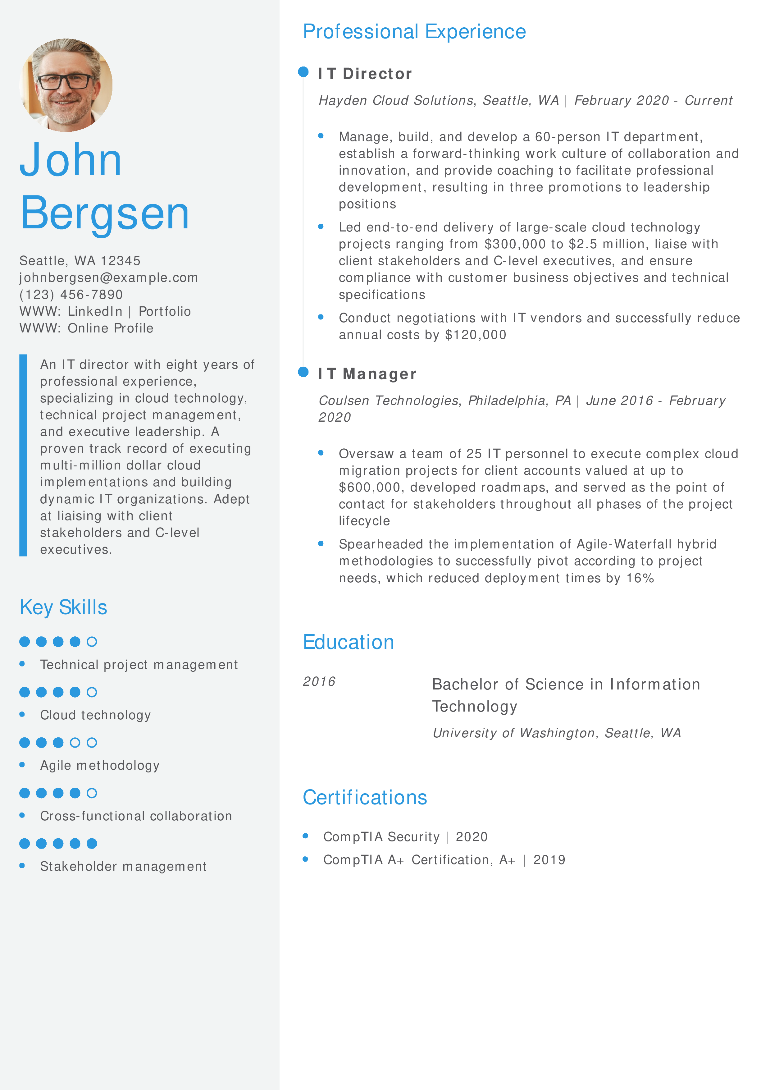 IT Director Resume