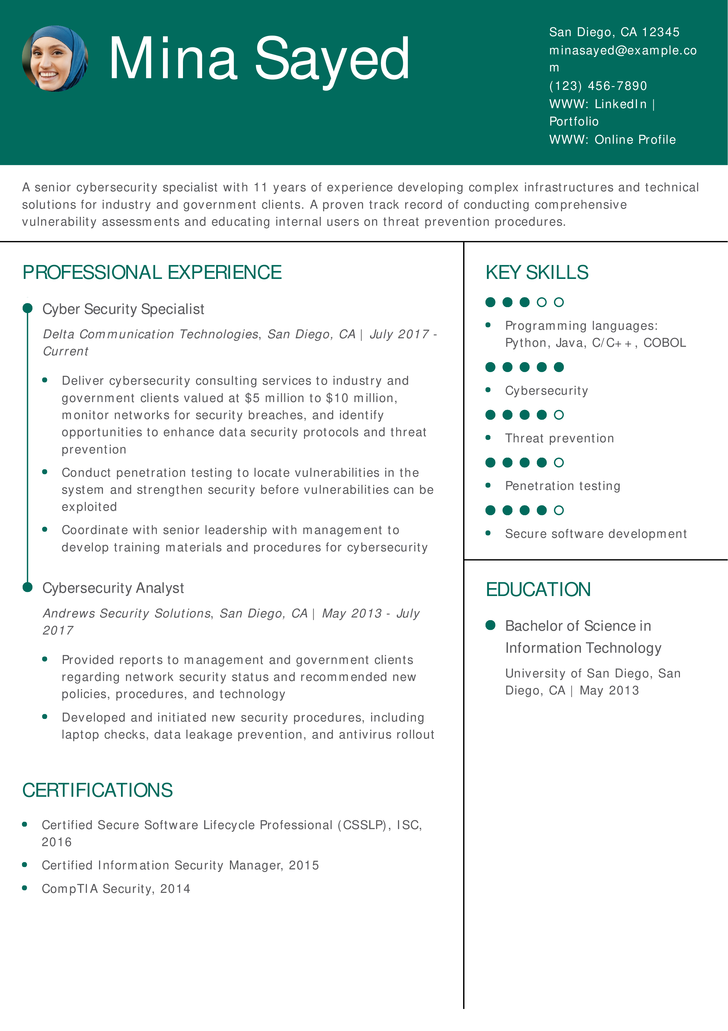 Senior-level Information Technology Resume