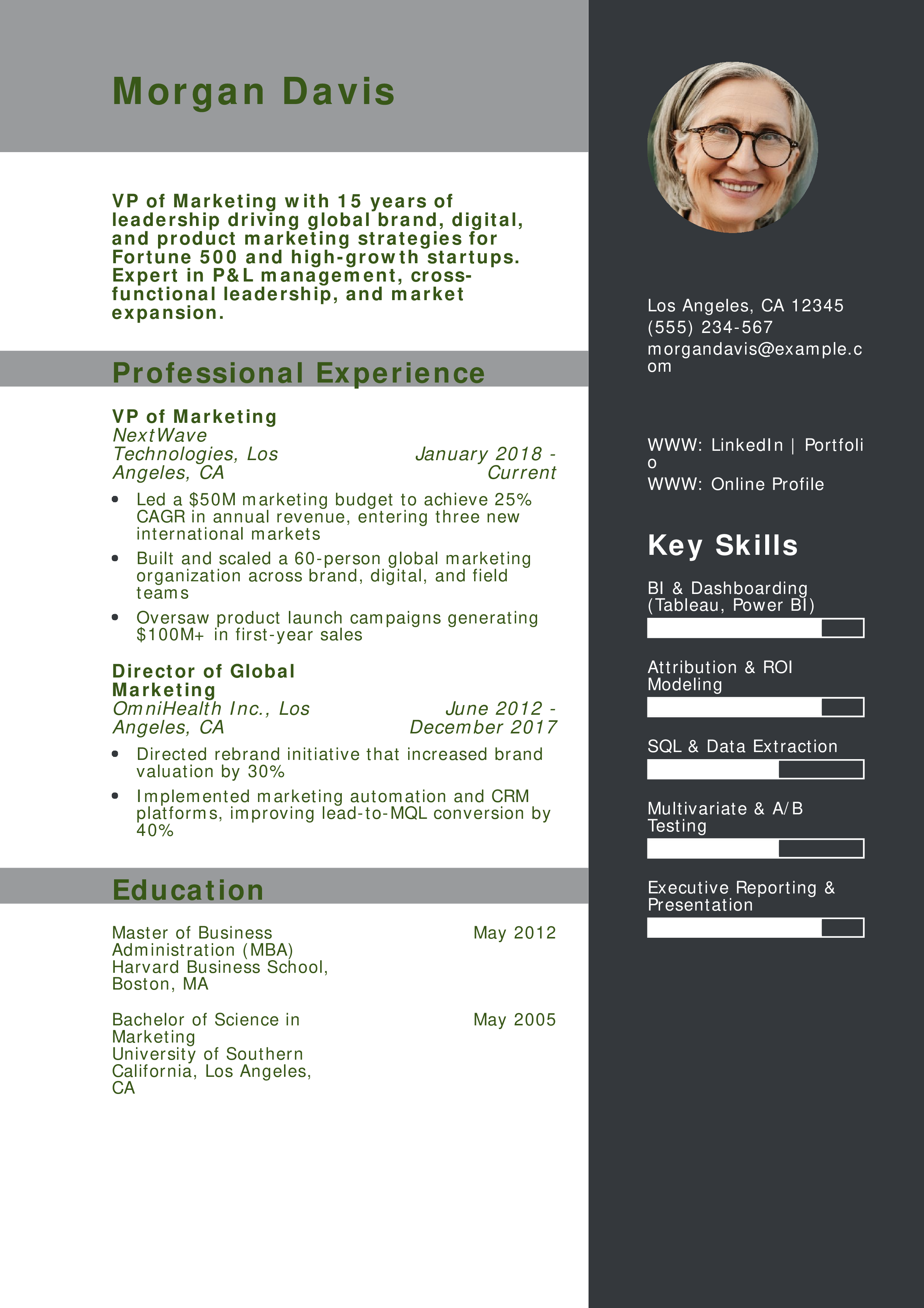 VP of Marketing Resume