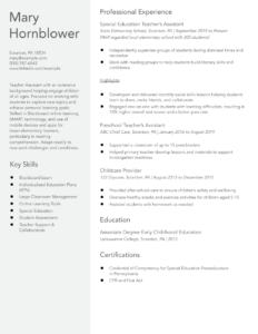 Combination Resume Examples and Templates Banner Image
