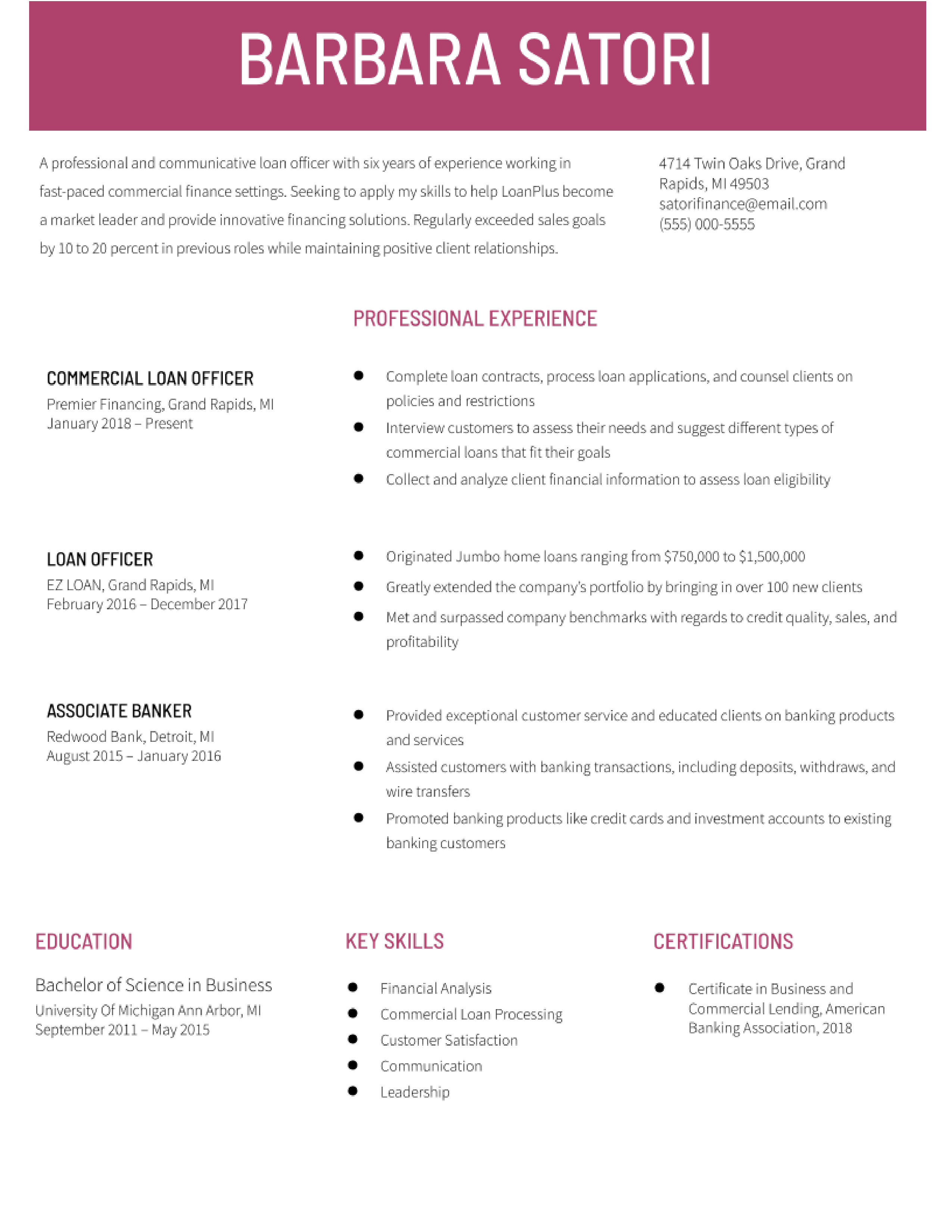 Loan Officer Resume Examples