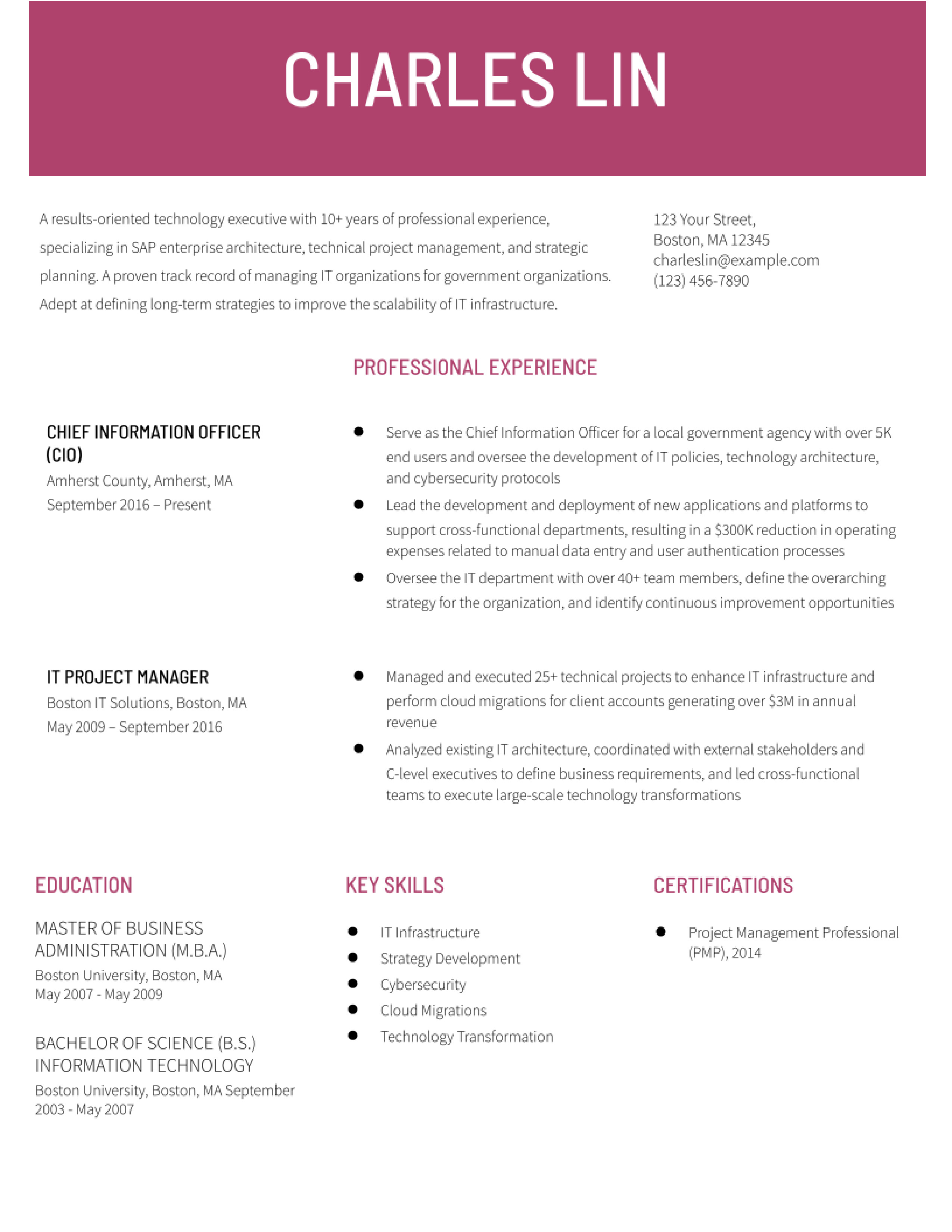 Chief Information Officer Resume Examples and Templates for 2024 ...