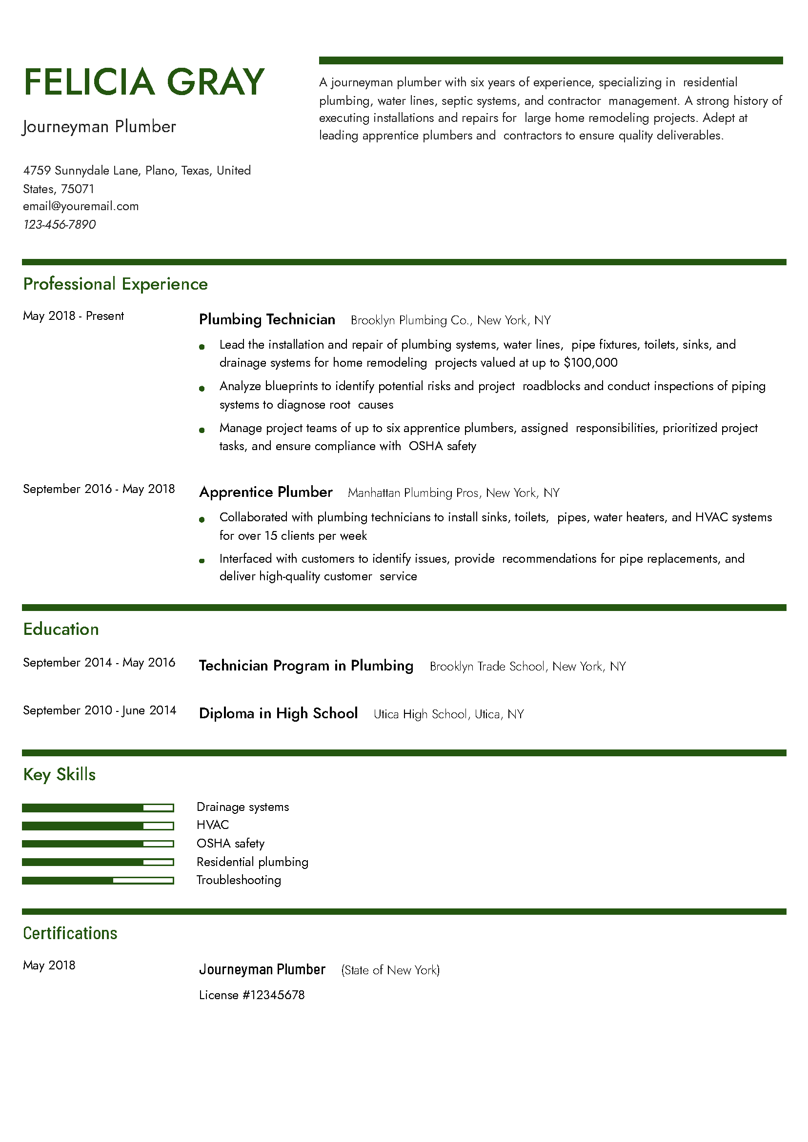 Plumber Resume Example