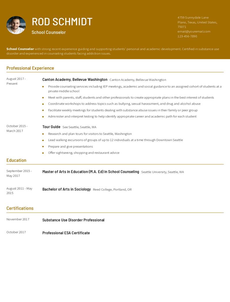 School Counselor Resume Examples and Templates for 2024