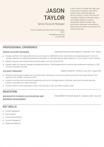 Senior Account Manager Resume Example