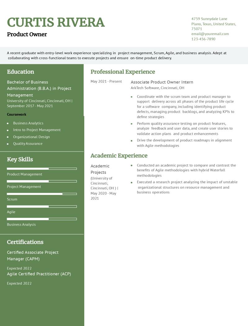 Product Owner Resume Examples and Templates for 2024