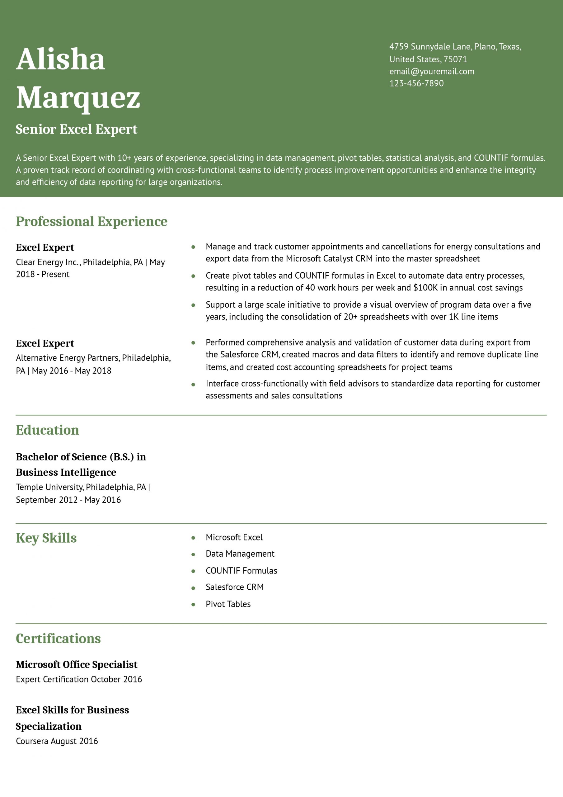 Excel Expert Resume Examples and Templates for 2024