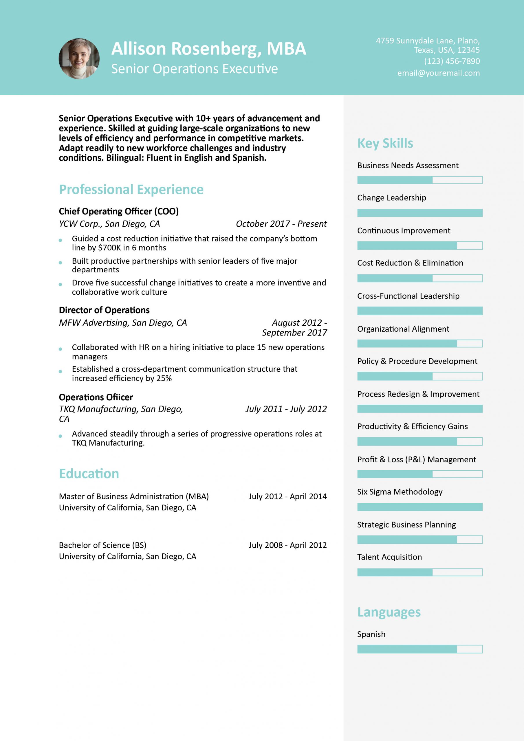 Chief Operating Officer Resume Example