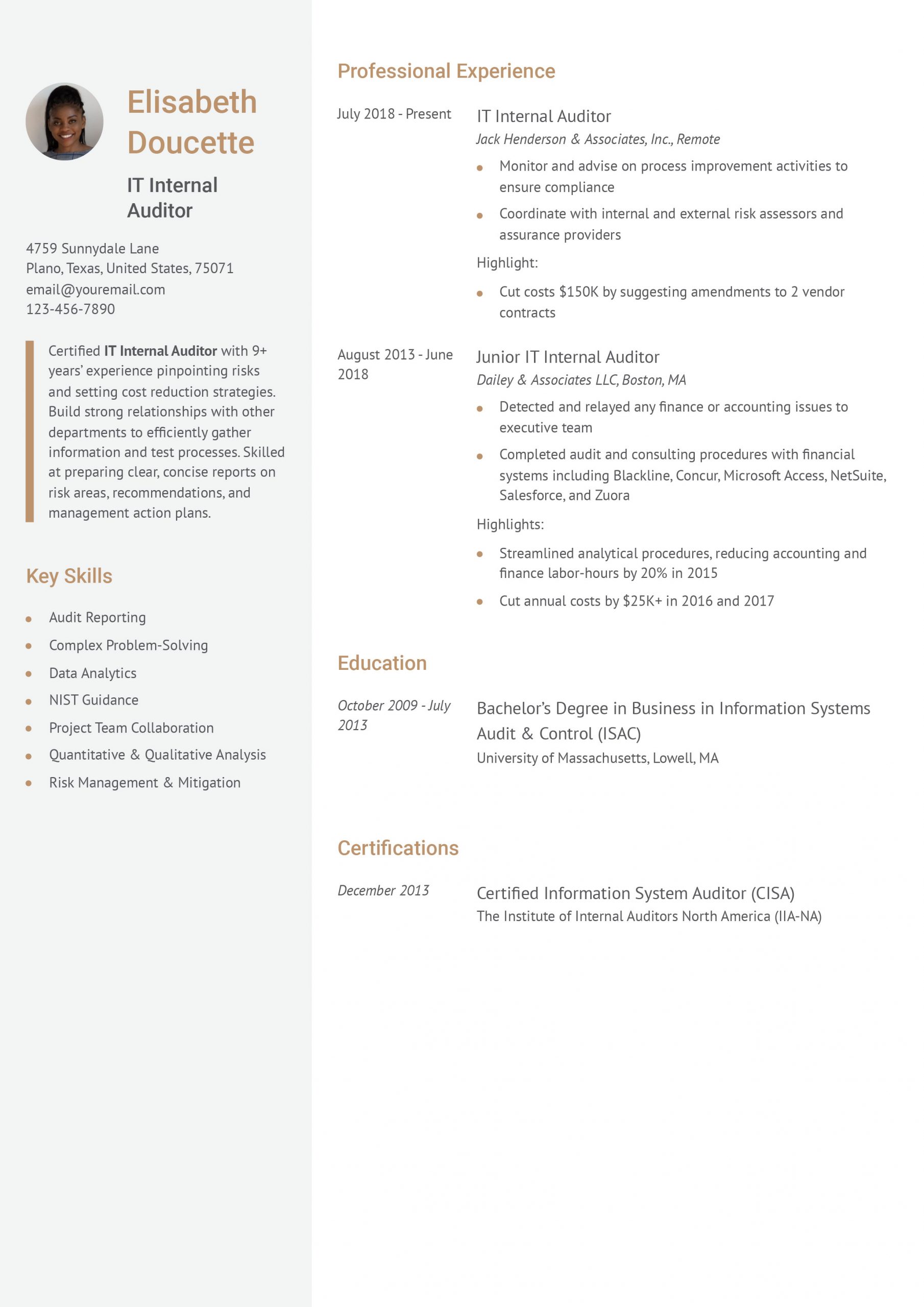 Auditor Resume Examples and Templates for 2024