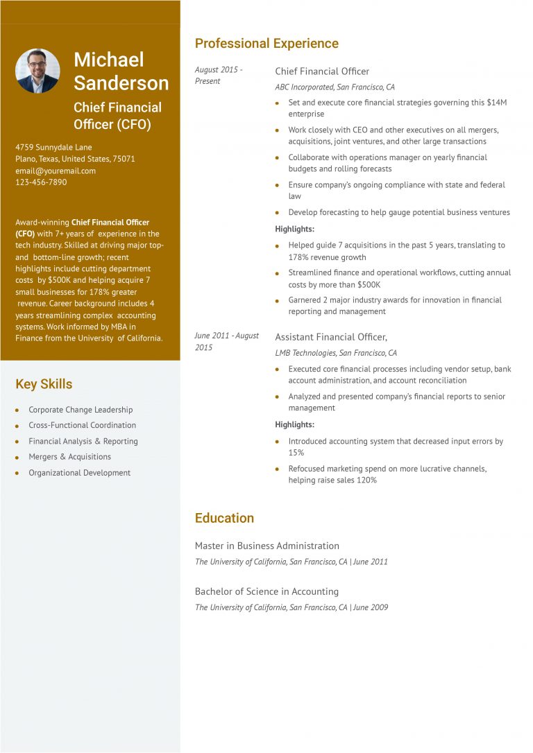 Chief Financial Officer Resume Examples And Templates For 2024 