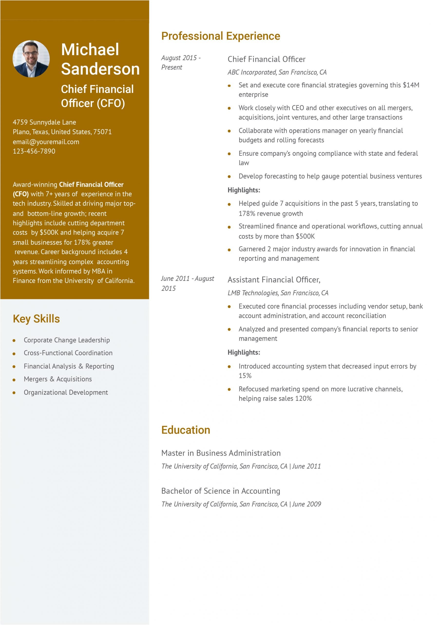 Chief Financial Officer Resume Examples and Templates for 2024