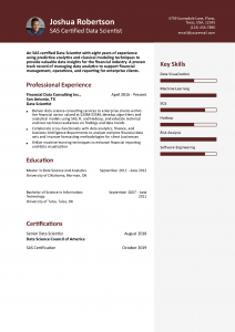 Data Scientist Resume Example