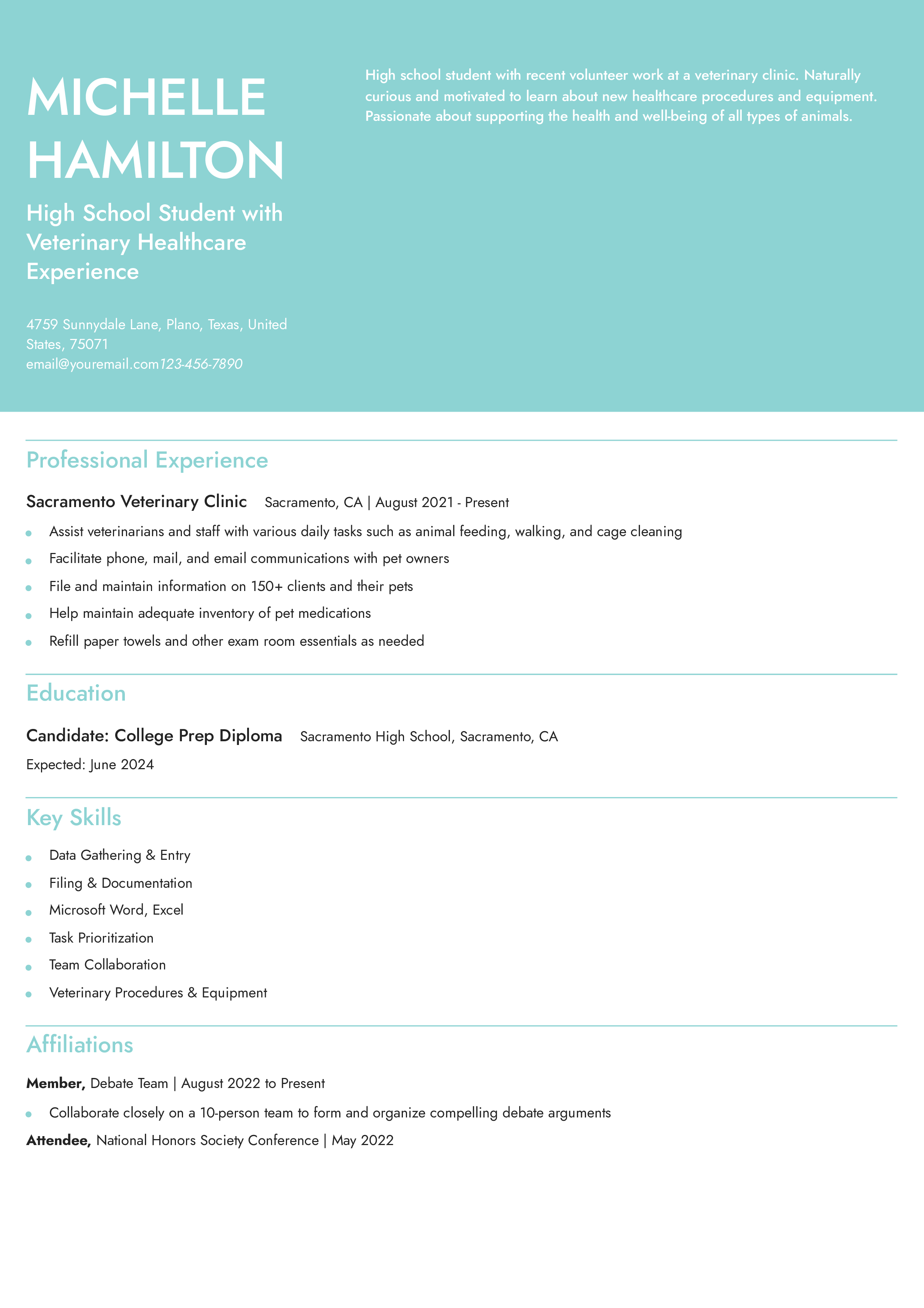 Mid-Level Resume Example