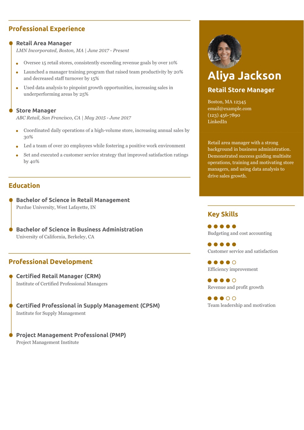 Retail Area Manager Resume Example