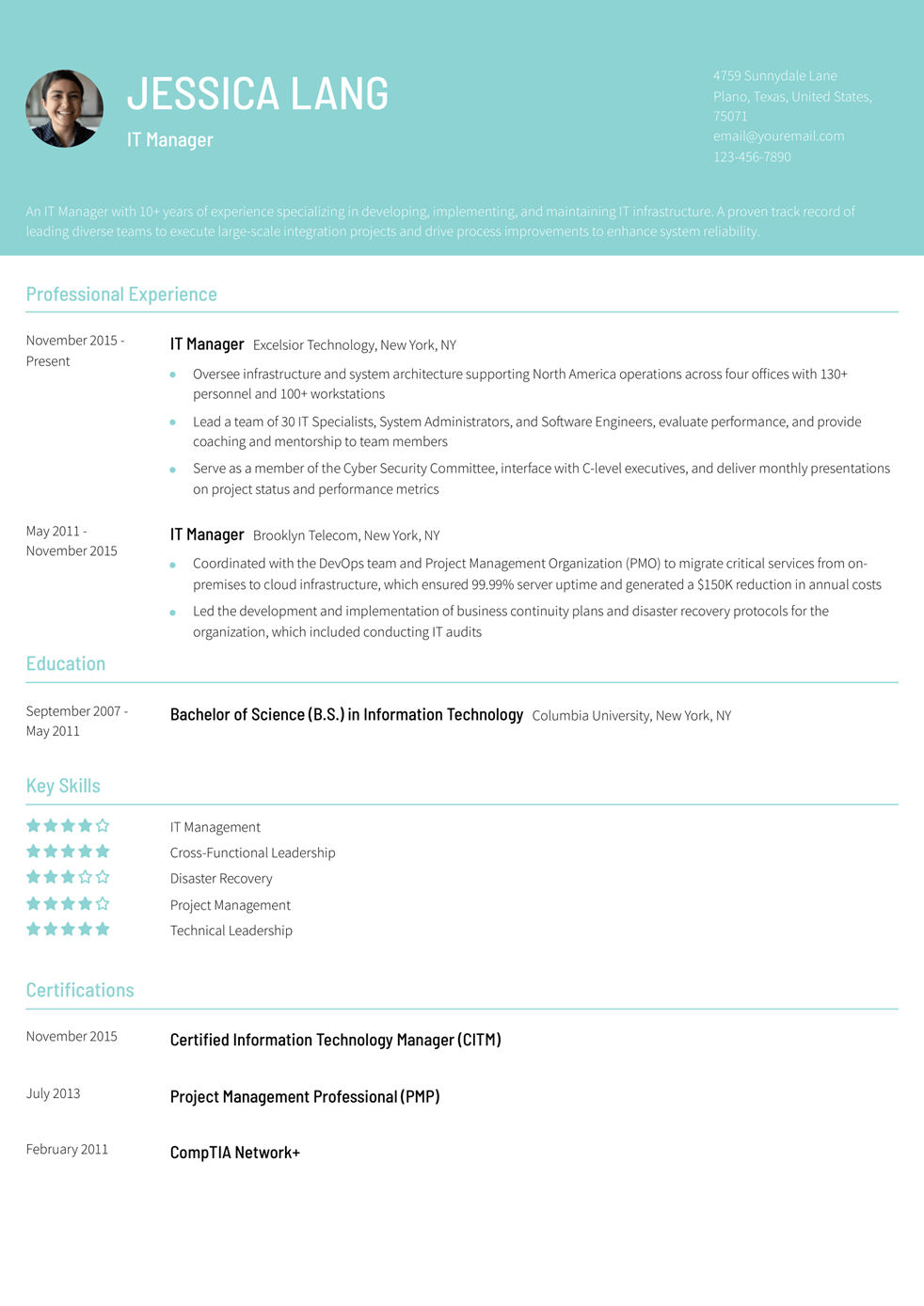 IT Manager Resume Example