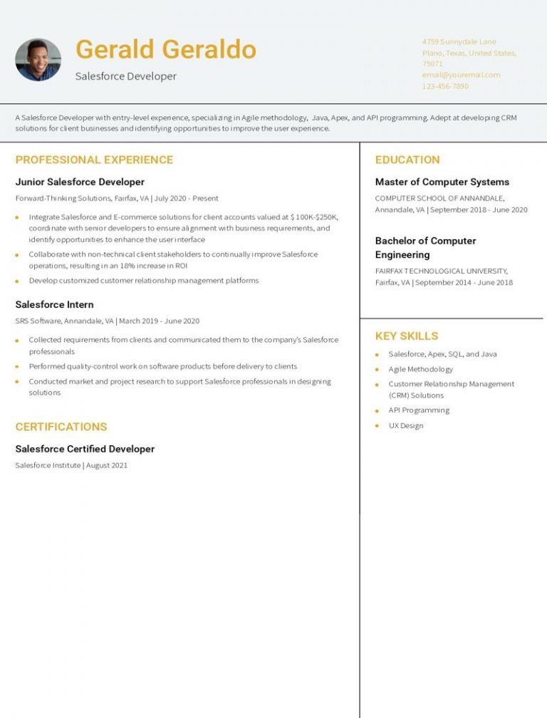 Salesforce Developer Resume Examples and Templates for 2024 ...