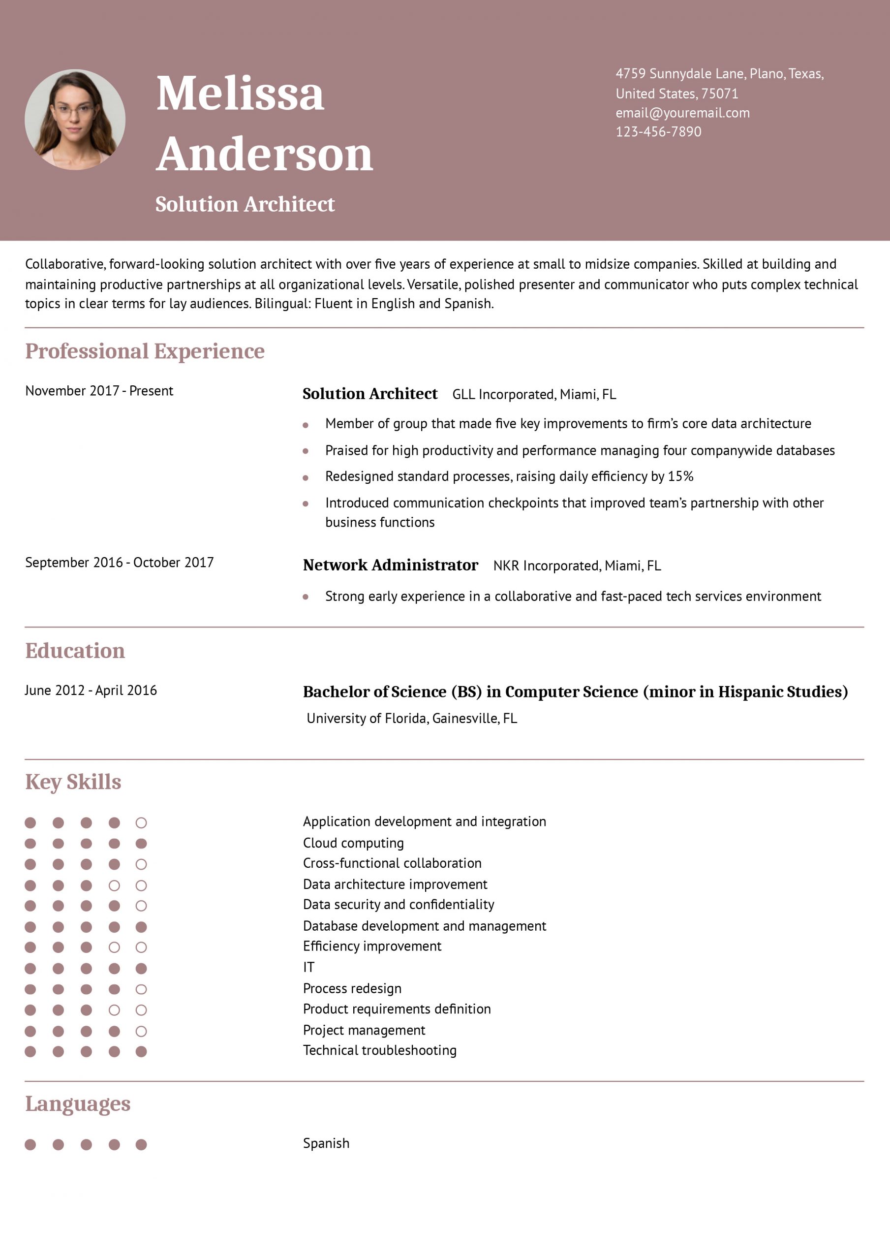Solution Architect Resume Examples and Templates for 2024