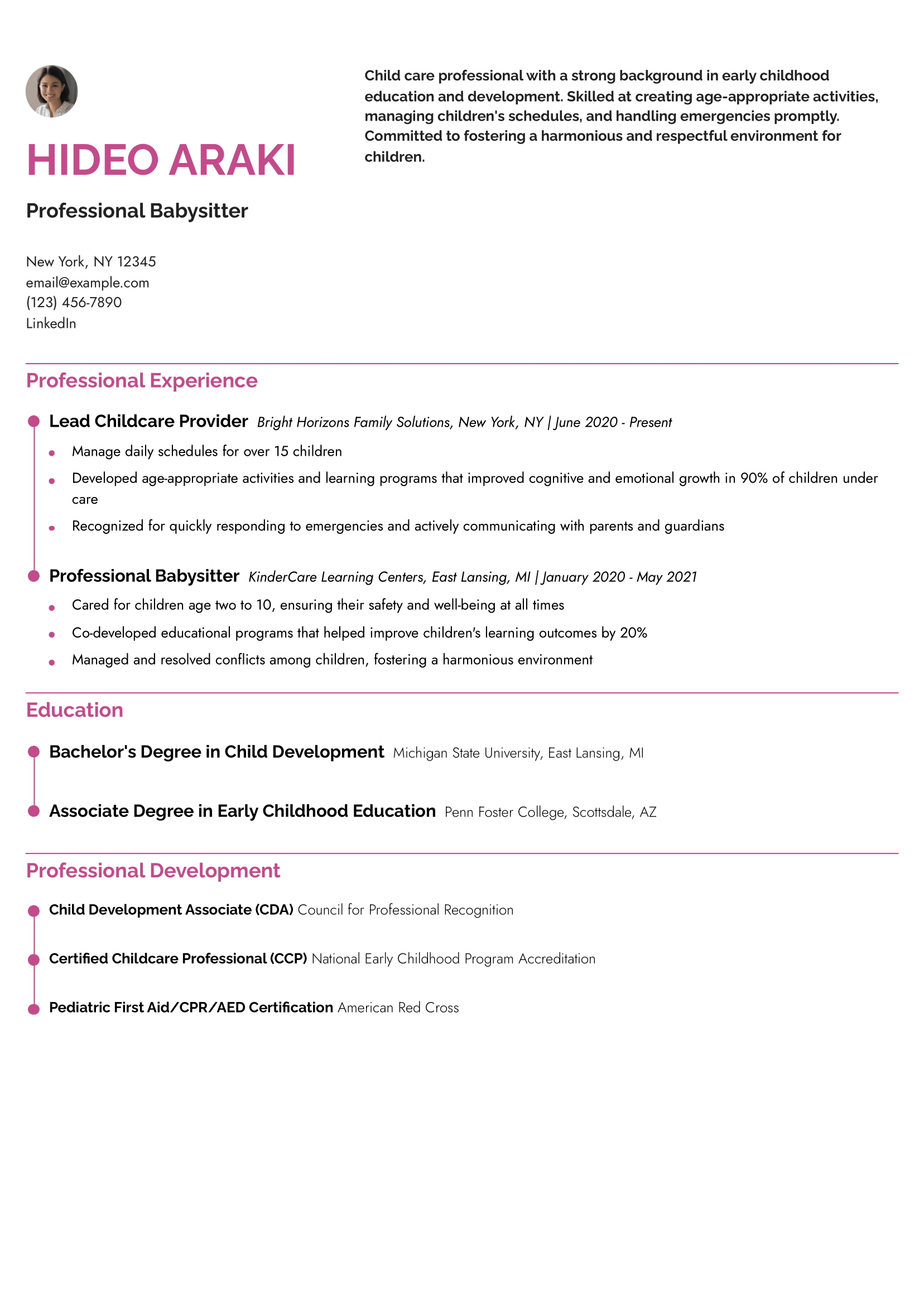 Professional Babysitter Resume Example