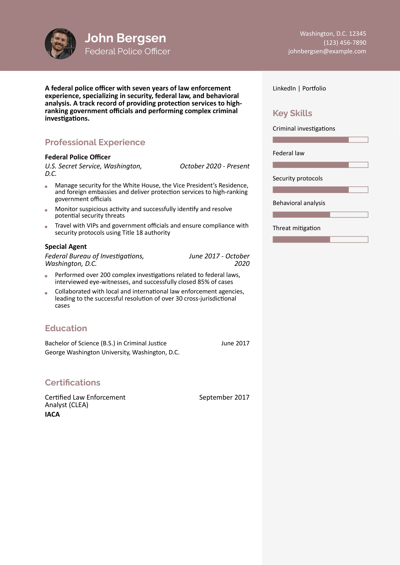 Federal Police Officer Resume Example