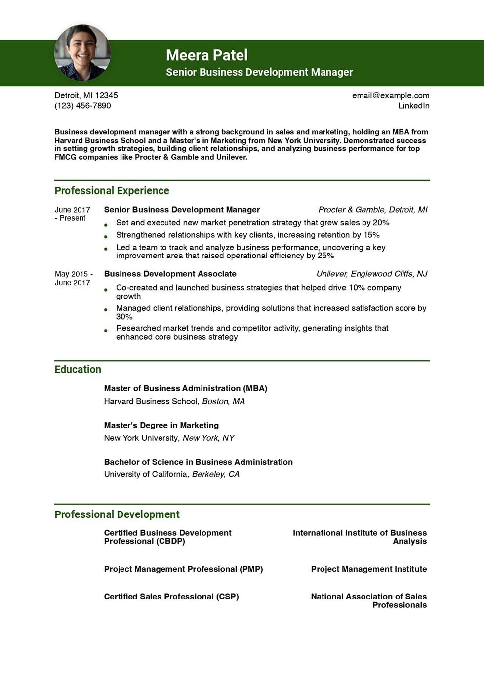 Business Development Resume Example