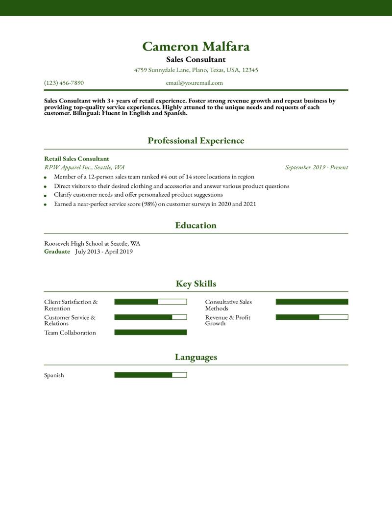 General Resume Examples and Templates for 2024