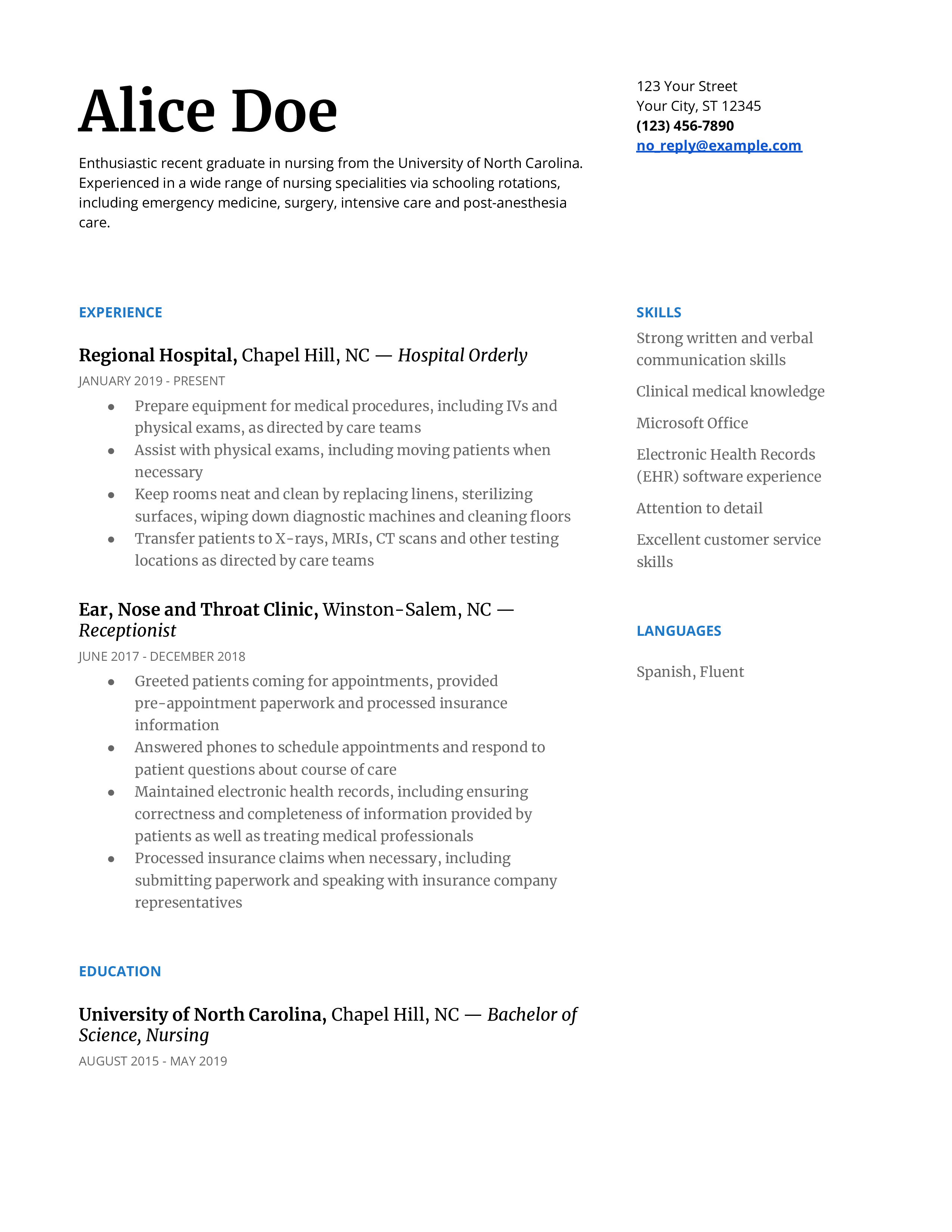 Google Docs Resume Examples and Templates for 2024