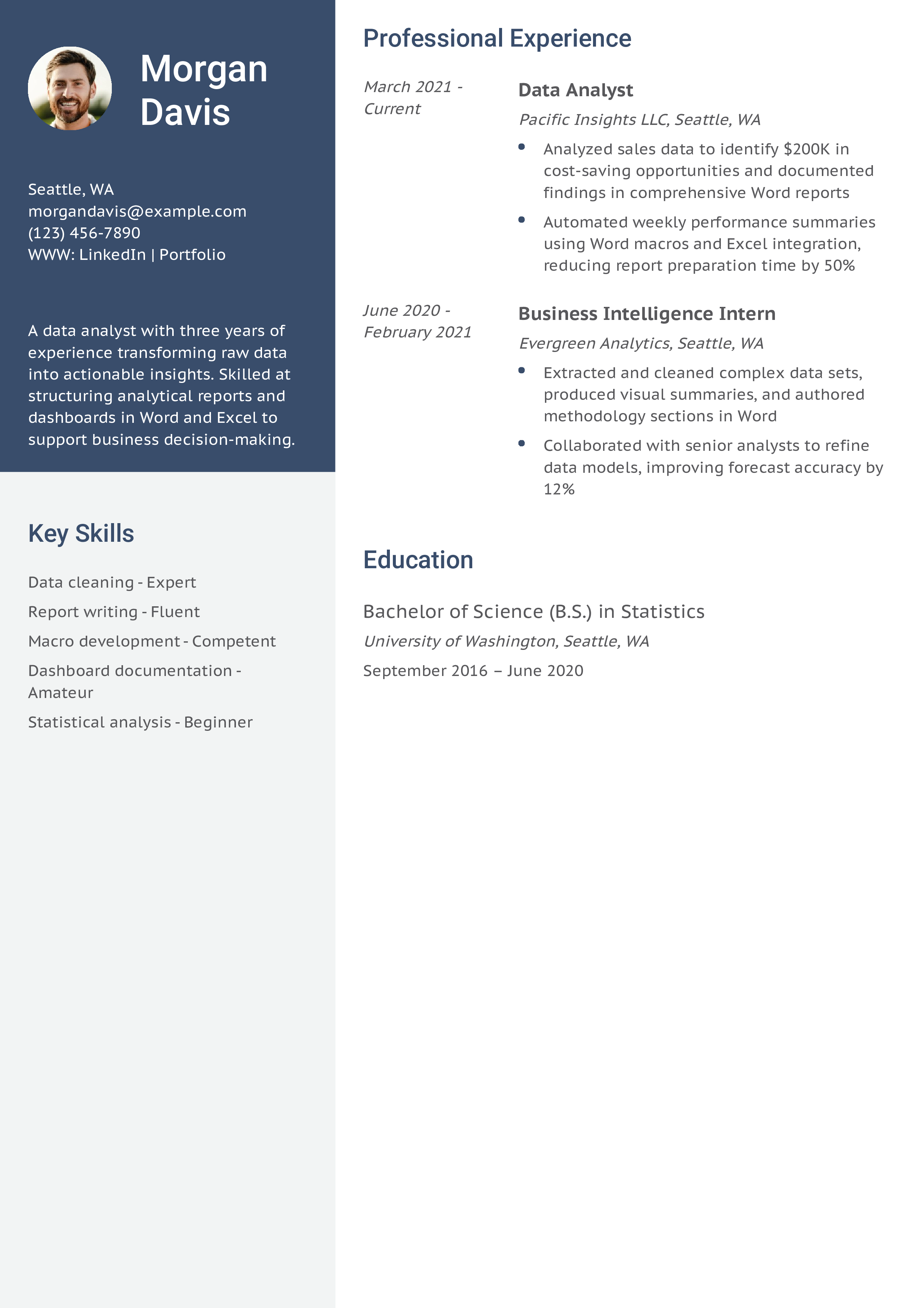 Data Analyst Word Resume Example