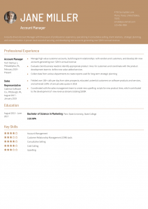 Account Manager Resume Examples Entry Level