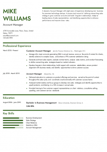 Account Manager Resume Example