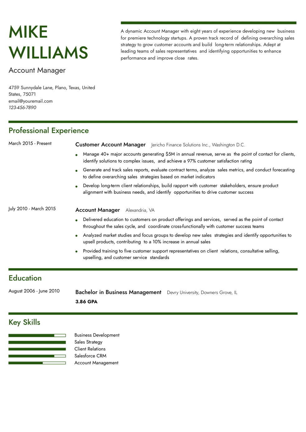 Account Manager Resume Example