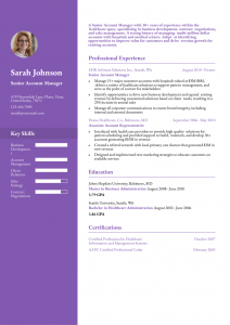 Account Manager Resume Examples Senior-Level