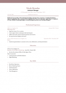 Assistant Manager Resume Examples Entry Level