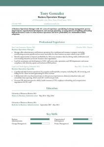 Business Administrator Resume Examples Senior-Level