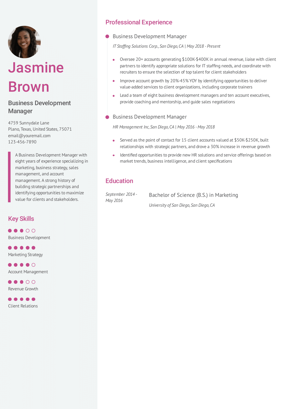 Business Development Manager Resume Example