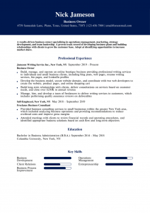 Business Owner Resume Examples Entry Level