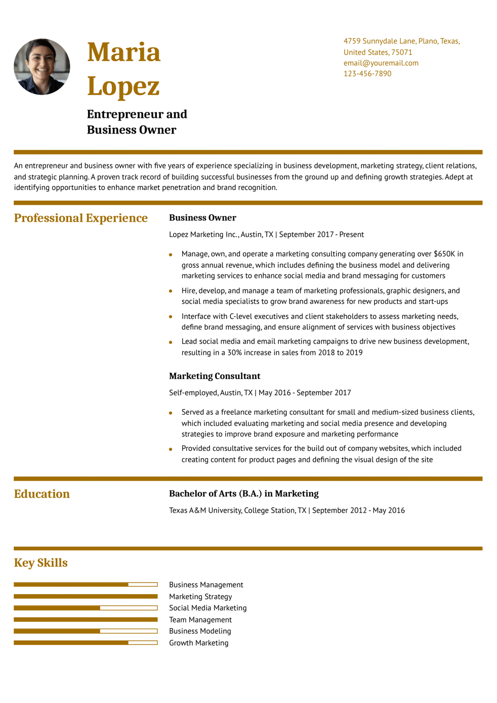 Business Owner Resume Example