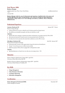 Business Resume Examples Senior-Level