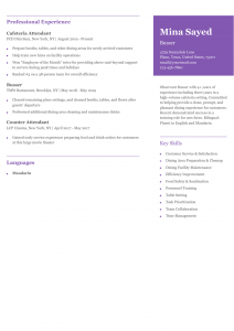 Busser Resume Examples Senior-Level