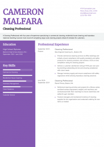 Cleaning Professional Resume Examples Entry Level