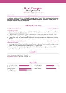 Cleaning Professional Resume Examples Mid-Career