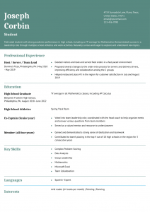 College Student Resume Examples Entry Level