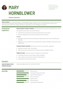 Combination Resume Examples Senior-Level