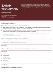 Company Driver Resume Example