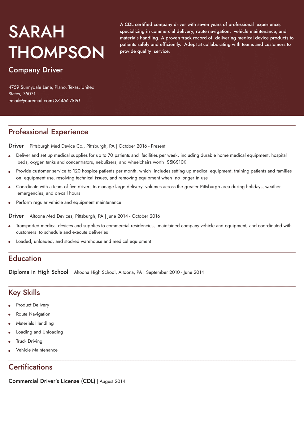 Company Driver Resume Example