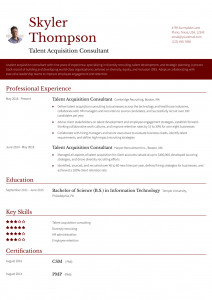 Consulting Resume Examples Mid-Career