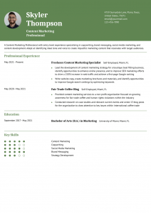 Content Marketing Resume Examples Entry Level