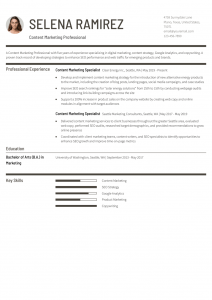 Content Marketing Resume Example