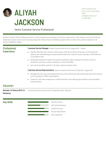 Customer Service Representative Resume Examples Senior-Level